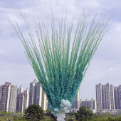 Дневная веерная батарея салютов Зеленый дым 100 залпов БСП3210012-З купить в Ростове на Дону