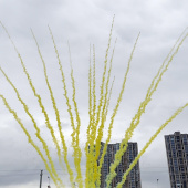 Дневной веерный салют Желтый дым с треском искр по середине 15 залпов БС0715120-ЖТ купить в Ростове на Дону