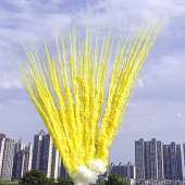 Дневная веерная батарея салютов Желтый дым 100 залпов БСП3210012-Ж купить в Ростове на Дону