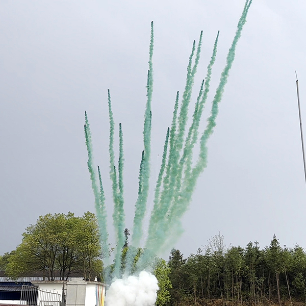 Дневная батарея салютов Зеленый дым 25 залпов БСП2002512-З купить в Ростове на Дону