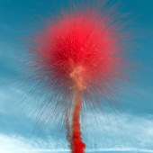 Дневная батарея салютов Красный дымный цветок в серебряном мерцании 72 залпа для гендер пати СУ1107212-К купить в Ростове на Дону