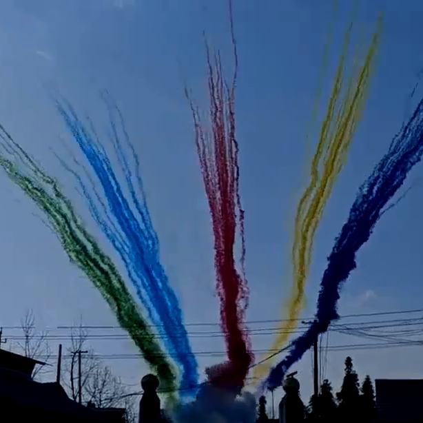 Дневная веерная батарея салютов Попугай разноцветный дым БСП0905012 купить в Ростове на Дону