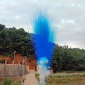 Дневная батарея салютов Синий дым тип рисовая лапша 16 залпов для гендер пати СУ0101612-С купить в Ростове на Дону