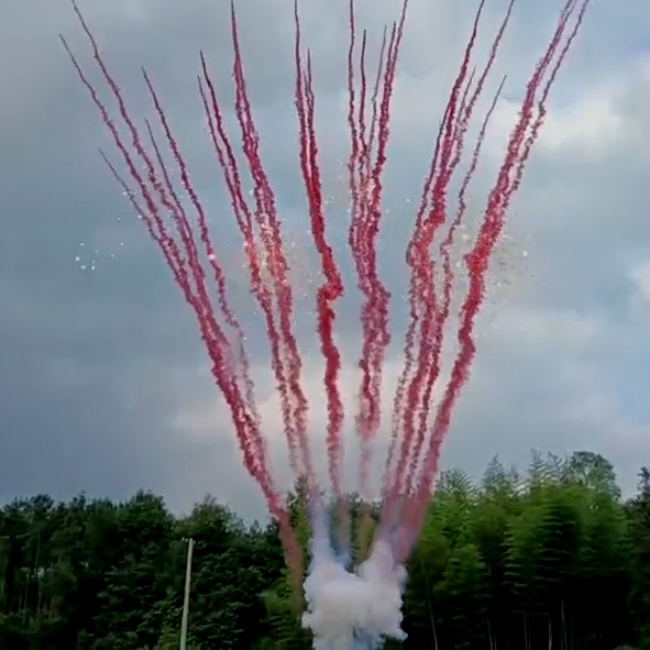 Дневной веерный салют для гендер-пати, розовый дым с облаком искр в центре, Он или Она БСП1003612 купить в Ростове на Дону