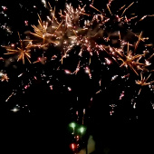 Батарея салютов веерная СУ1213012-1 Red green strobe tail with crackling flower купить и заказать в Ростове на Дону